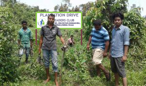 Plantation drive at Hirapur village